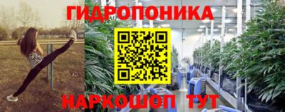 трава Аргун
