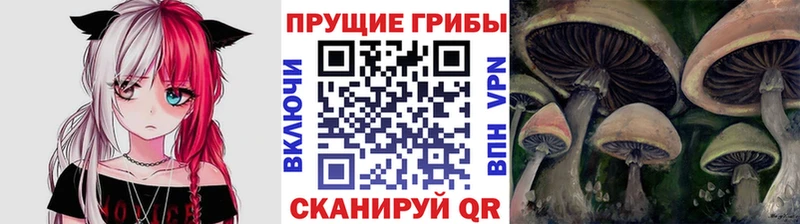 Псилоцибиновые грибы мухоморы купить Назарово