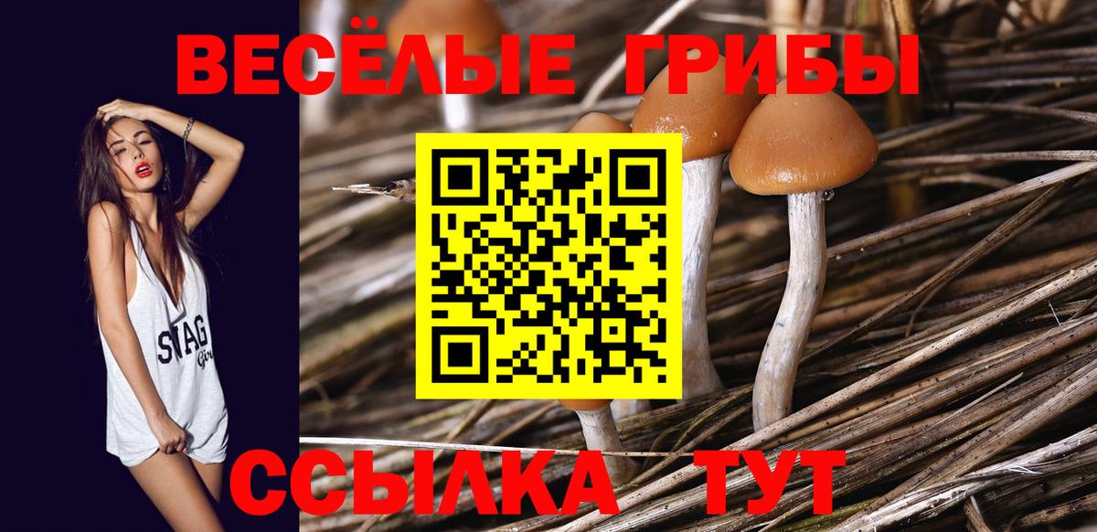 Псилоцибиновые грибы Psilocybine cubensis  Вход с VPN  Назарово 